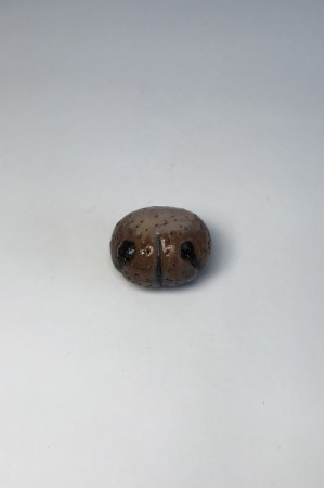 Nosis lipdyta 24x20x15 mm